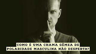 Como é uma chama gêmea de polaridade masculina não desperta [upl. by Myrwyn]