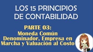 MONEDA COMÚN DENOMINADOR EMPRESA EN MARCHA VALUACIÓN AL COSTO  PRINCIPIOS DE CONTABILIDAD PCGA [upl. by Dave]