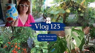 VLOG 123🌿Comment vont mes plantes le jardin et le potager après les vacances😃 VIDE GRENIER et TARTE [upl. by Assilram271]