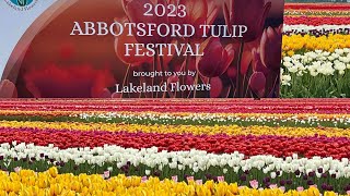 Tulips Festival 2023  Abbotsford Tulip Festival 2023 [upl. by Notlrahc]