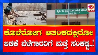 ⭕ APMC ಅಡಕೆ ಬೆಳೆಗಾರರಿಗೆ ತಪ್ಪಿದ್ದಲ್ಲ ಸಂಕಷ್ಟಮತ್ತೆ ರೈತರಿಗೆ ದರ ಕುಸಿತದ ಬಿಸಿ  U PLUS TV [upl. by Liatrice542]