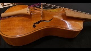 Valerio Losito plays Scordature for Viola damore by Giuseppe Colombi [upl. by Ecnedurp]