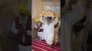 Sukhasan Shri Granth Sahib Harmandir Sahib Goldentemple Amritsar shorts viralshorts youtubeshorts [upl. by Lorri]