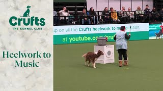 Heelwork To Music Part 1  Crufts 2024 [upl. by Connett]