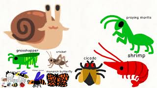 invertebrate size comparison [upl. by Stormy]