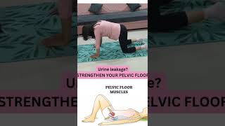 Pelvic floor exercises urine leakage problem prolapse postnatal exercise womens health exercise [upl. by Tori]