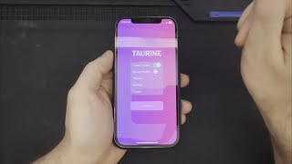 Taurine Jailbreak iPhone 12 Pro iOS 140  1481 [upl. by Nodarb]