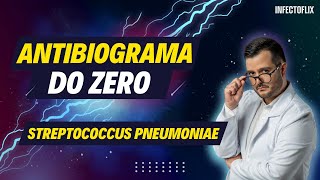 Dominando Antibiogramas do Zero  Streptococcus pneumoniae [upl. by Borszcz]