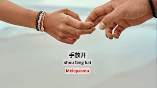 Shou Fang Kai《手放开》MELEPASMU【Lagu Mandarin】 Sam Lee 李圣杰 SubIndoPinyin Lyric amp terjemahan [upl. by Eniamert20]