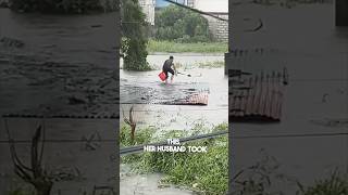 They saved a puppy during the hurricane 👏 [upl. by Slaohcin]