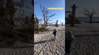 5 yo Geeta hiking on N Loop Trail at the uniquely beautiful Driftwood Beach georgia littleexplorer [upl. by Landau]