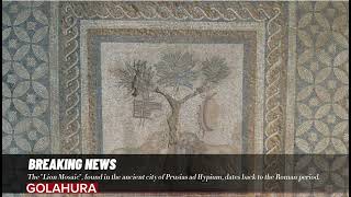 The quotLion Mosaicquot found in the ancient city of Prusias ad Hypium dates back to the Roman period [upl. by Cud520]