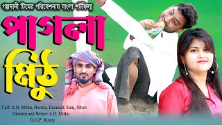 Pagla Mithu। পাগলা মিঠু । Emotional Bangla Short Film 2024। Bangla New Natok 2024 । Golpo Dani [upl. by Arinaid]