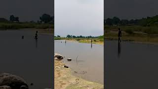 FisherMens in Palar River near Thirumukkudal Kanchipuram Support me by subscribe Friends 👻 love [upl. by Kus]