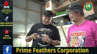 PRIME FEATHERS TARI MAKER ENDORSERS  CARLO TARI MAKER BATANGPIER TARI MAKER amp MIKE TARI WORKZ [upl. by Quincey]