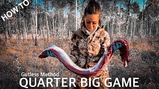 How to Quarter amp Field Dress Elk and Big Game  Gutless Method  Borealhuntsman [upl. by Trescha]