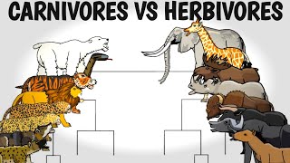 CARNIVORES VS HERBIVORES TOURNAMENT  ANIMATION [upl. by Golter]