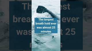 The Longest Breath worldrecord worldrecords guinnessworldrecords [upl. by Klaus]