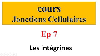 COURS Jonctions cellulaires Ep 7 Les molécules d’adhésion  Les intégrines [upl. by Pontus]