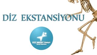 Diz Ekstansiyonu Knee Extension [upl. by Spatz]