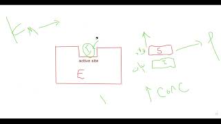 L20 Competitive inhibition [upl. by Verbenia]