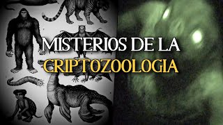 LOS MISTERIOS DE LA CRIPTOZOOLOGIA historias escalofriantes de encuentros cercanos [upl. by Matheson813]