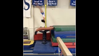 Level 7 Vault NAWGJ Clinic [upl. by Faro767]