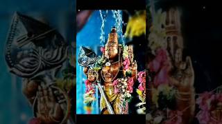 Unthan mugam kaana odi vanthen murugan whats app status video [upl. by Kowalski]