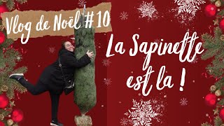 🎄･ﾟ✧Vlog 10✧･ﾟ Décoration de la Sapinette [upl. by Irwinn]