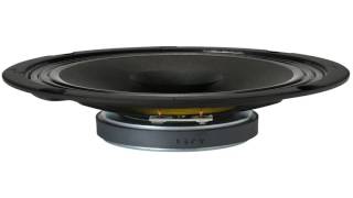 Visaton BG20 8 8 Full Range Speaker with Whizzer Cone 8 Ohm [upl. by Leggett]