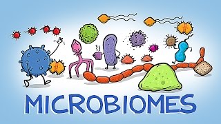 The HIDDEN World of Microbiomes [upl. by Kciredor]