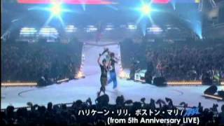 AAA  ハリケーン・リリ ボストン・マリfrom 5th Anniversary Live [upl. by Leynwad]