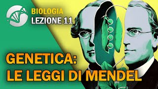 Eccezioni alle leggi di Mendel [upl. by Yrogiarc]