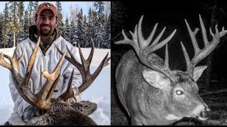 Saskatchewan Whitetail Hunt [upl. by Osmund]