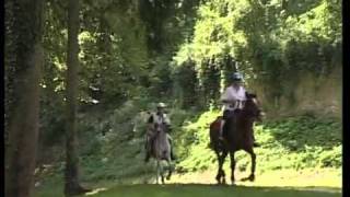 Distanzreiten  Info Video  Endurance Riding  German version [upl. by Moina]