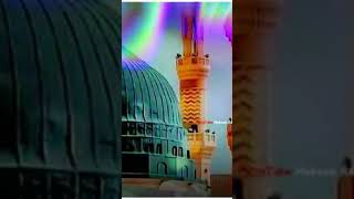 3 November 2024 varel short video Mohammad mustafa publice [upl. by Vanzant]