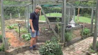 C Grow your own organic vegetables with permaculture Part 3 of 4 [upl. by Pomfret]