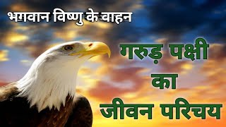 Garud Pakshi Ka Jeevan Parichay। गरुड़ पक्षी का जीवन परिचय। Life Introduction Of Garuda Bird । [upl. by Scribner]