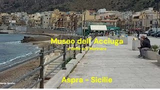 Sicilië  Museo dell Acciuga di Aspra Visserij museum [upl. by Josy]