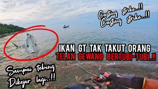 SPECIES YANG TIDAK TAKUT DENGAN MANUSIA SPOT KAKI TEBING vloq154 [upl. by Nnahtebazile476]