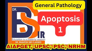 Apoptosis 1  General Pathology  DrBhavesh Sir Classes I DrBhavesh Sir Pharmacy [upl. by Acirderf240]