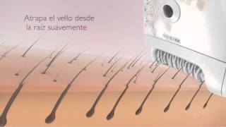 MELHORES RESULTADOS COMO USAR CORRETAMENTE A DEPILADORA IPL LUZ PULSADA Skin Softfotodepilação [upl. by Woolcott842]