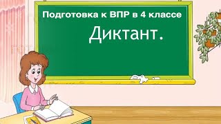 Диктант к ВПР по русскому языку в 4 классе [upl. by Survance]