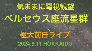 ペルセウス座流星群 極大前日 ライブ配信 [upl. by Atekehs]