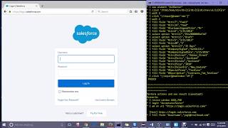 Salesforce Test Automation using Selenium and Codeception framework [upl. by Newberry733]