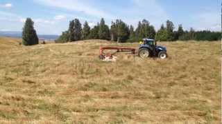 Lely 550P Trailed Mower [upl. by Ivad]