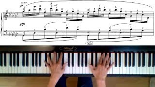 The Swan  SaintSaëntGodowsky  Ralf Pisters piano score  hands [upl. by Treblah]