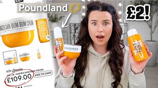 UNBELIEVABLE Poundland Dupe  HUGE NEW IN POUNDLAND HAUL [upl. by Prosper]