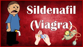 Sildenafil Viagra  Uses Dosage Mechanism Of Action Pharmacokinetics amp Adverse Effects [upl. by Lambart]