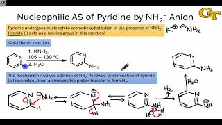 3703 Nucleophilic Aromatic Substitution of Heteroarenes [upl. by Xenia]